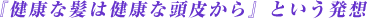 『健康な髪は健康な頭皮から』という発想