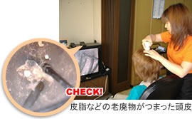 手順１