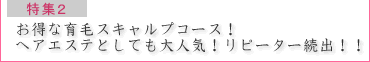 特集２