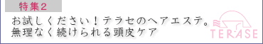 特集２