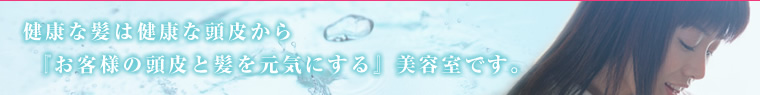 健康な髪は健康な頭皮から。『お客様の頭皮と髪を元気にする』美容室です。