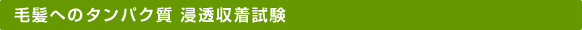 毛髪へのタンパク質　浸透収着試験