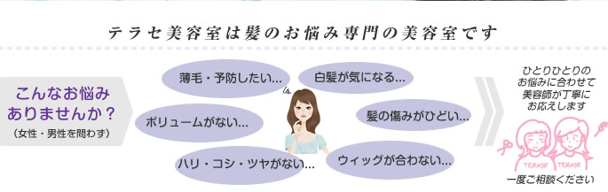 テラセ美容室は、髪のお悩み専門の美容室です。薄毛予防・白髪・傷み・ボリューム・ハリ・コシ・ツヤがない、ウィッグかつらが合わない等、男性女性問わずひとりひとりのお悩みに合わせて美容師が丁寧にお応えします