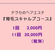 スキャルプメニュー