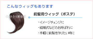 前髪用ウィッグ（ポステ）・イメージチェンジに・結婚式などのお呼ばれに・手軽に前髪を作りたい時に