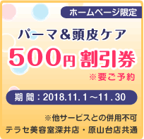 ﾊﾟｰﾏ＋ｽｶﾙﾌﾟｹｱ500円割引券